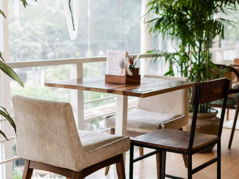 Bright dining room with wooden tables, white chairs and plants by the window