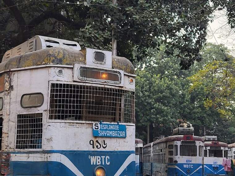 A blue and white Kolkata tram waiting on tracks under green trees