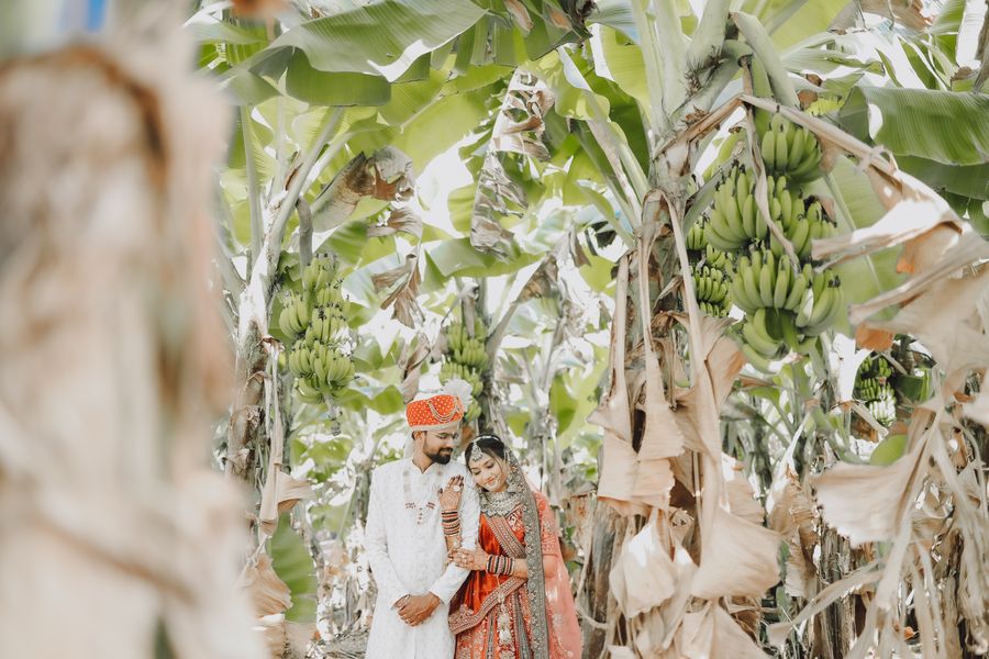 A newlywed couple standing amidst a lush green grove