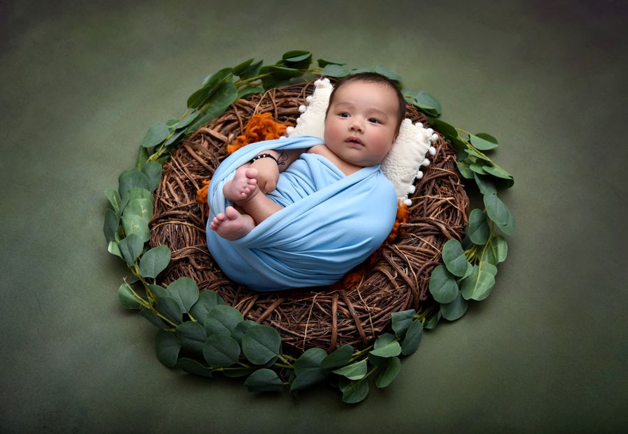 A newborn wrapped in a blue blanket, nestled among leaves