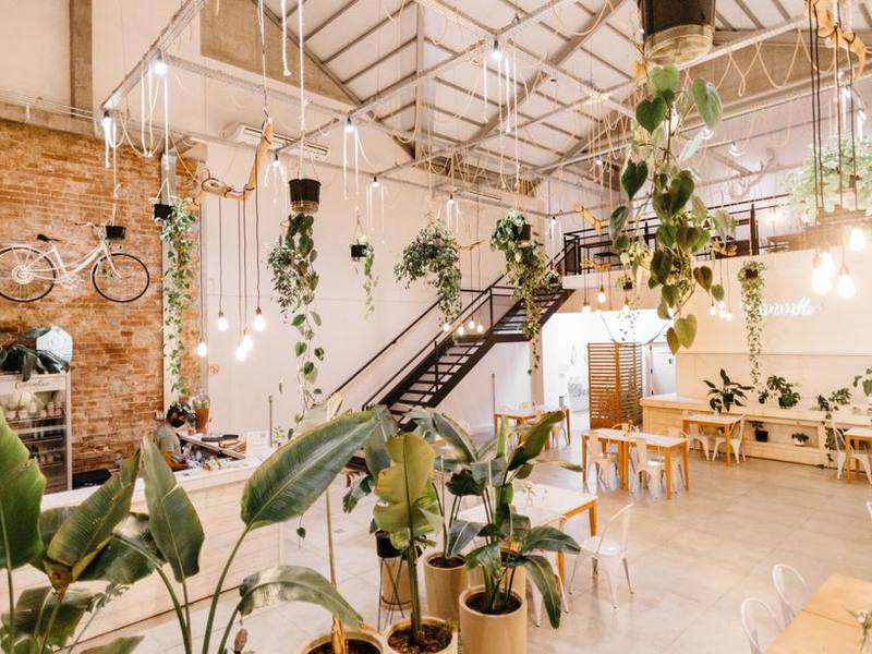 Airy café interior with hanging plants and wooden tables