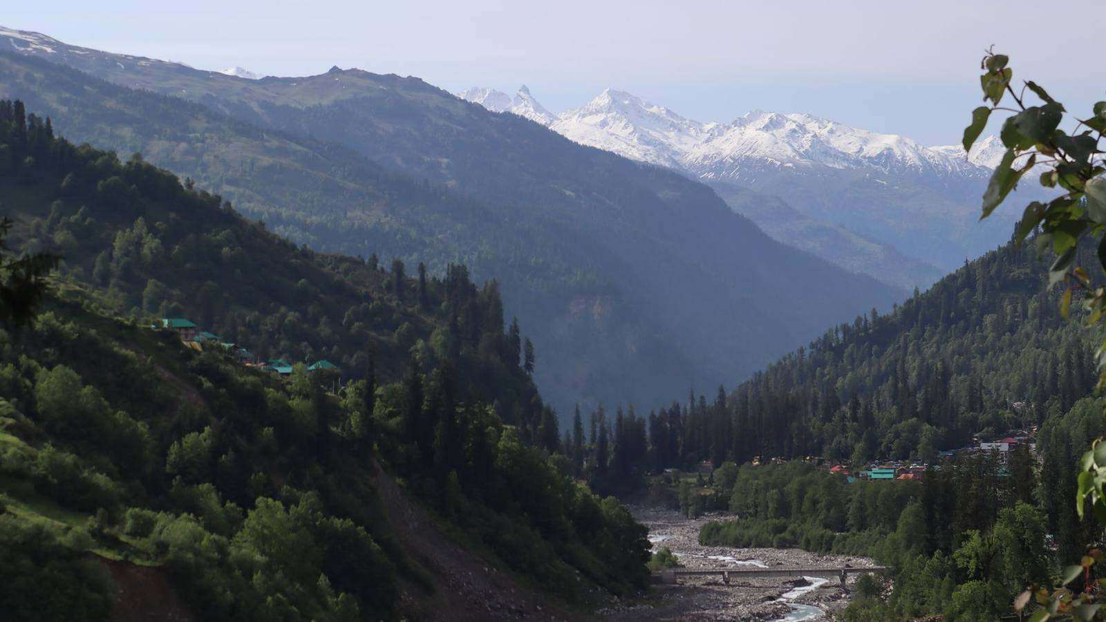 Evening light over the Beas valley near Manali, pine forests and snow-capped ridges