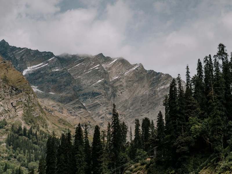 Snow-capped Himalayan peak rising above a deodar forest