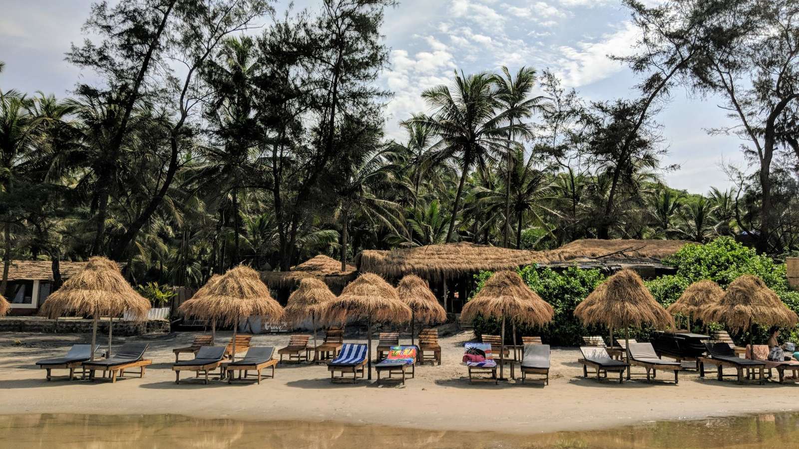 Thatched beach-shack umbrellas and sunbeds under coconut palms on Anjuna beach, Goa