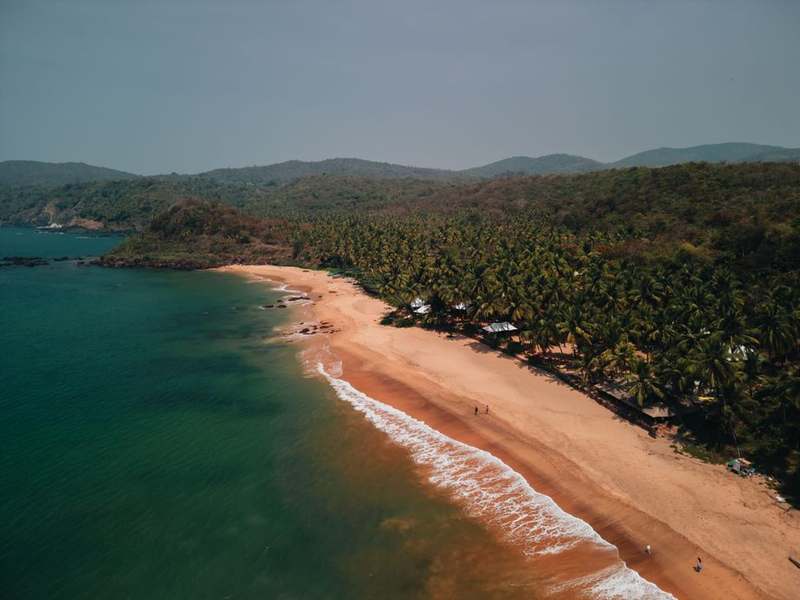 Aerial view of a curved Goan beach with palms and turquoise sea