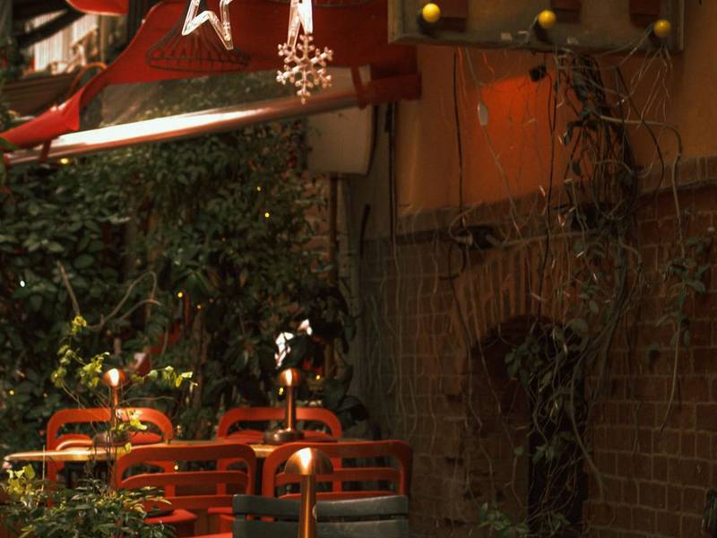 Terrace café at night with fairy lights and plants