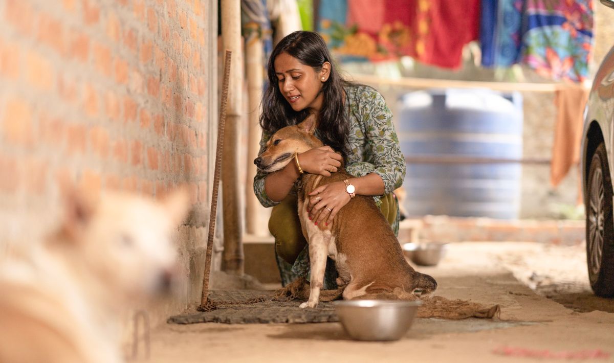A woman hugging her happy pet dog outdoors in warm light