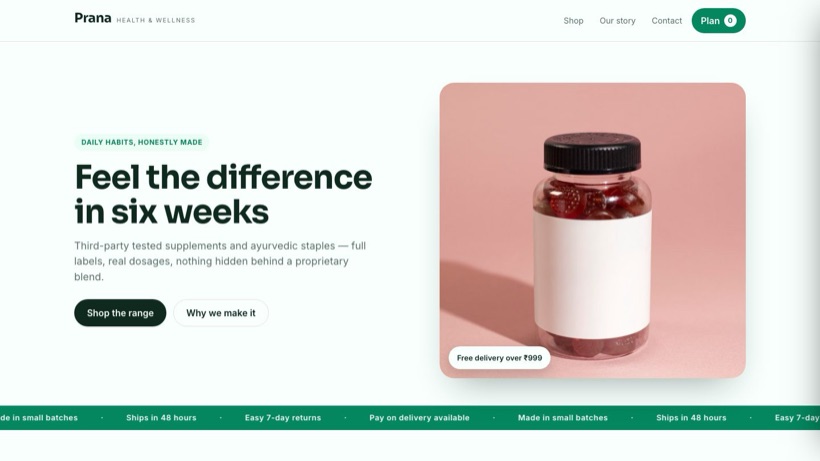 Prana template preview